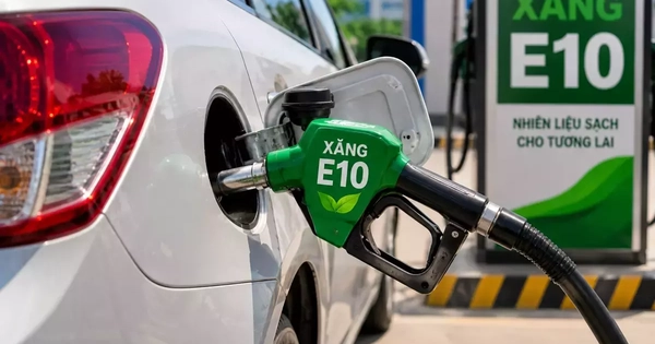 Các mẫu ô tô và xe máy tương thích với xăng E10 tại Việt Nam theo công bố của hãng