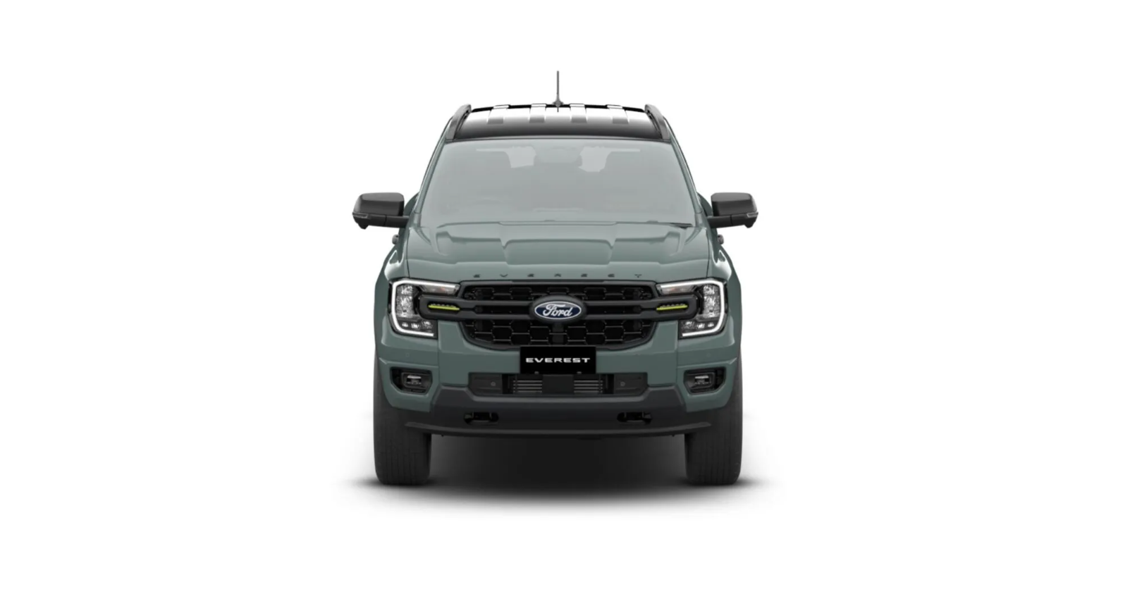 Ford Everest  (3).png